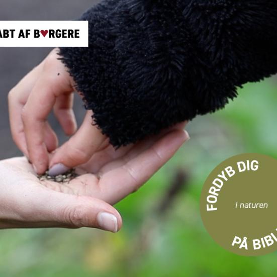 Foto af hænder og plantefrø